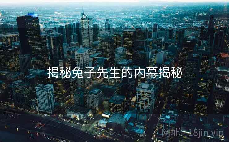 揭秘兔子先生的内幕揭秘