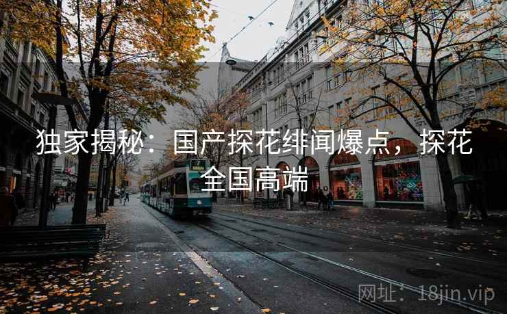 独家揭秘：国产探花绯闻爆点，探花全国高端