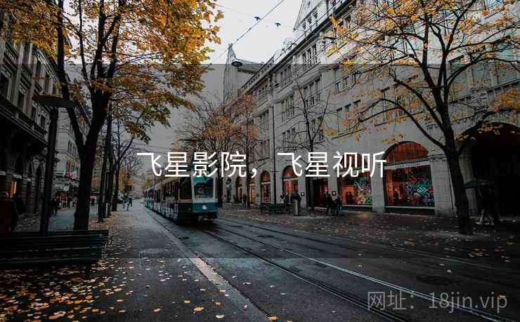 飞星影院，飞星视听