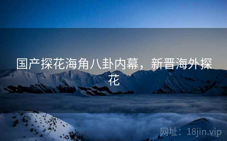 国产探花海角八卦内幕，新晋海外探花