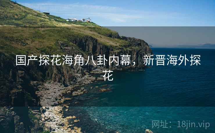 国产探花海角八卦内幕,新晋海外探花 国产探花海角八卦内幕,新晋海外探花