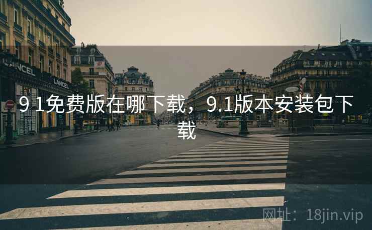 9 1免费版在哪下载，9.1版本安装包下载