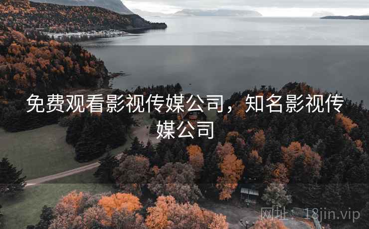 免费观看影视传媒公司，知名影视传媒公司